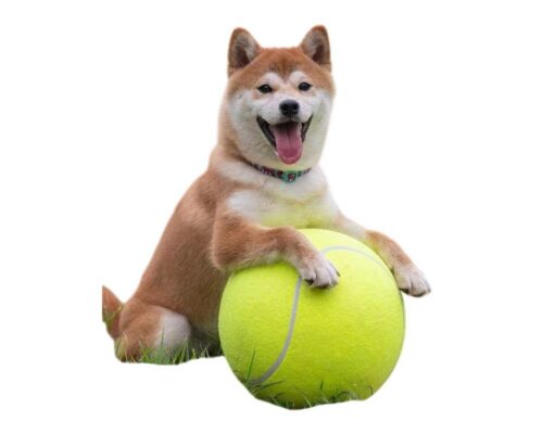 Pelota de Tenis Grande
