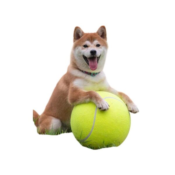 Pelota de Tenis Grande