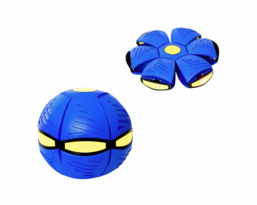 Pelota Frisbee