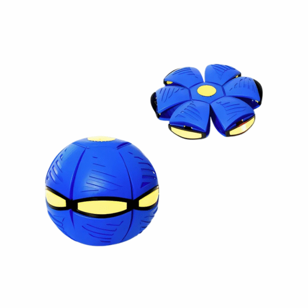 Pelota Frisbee
