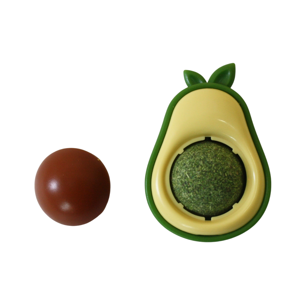 5-9-Photoroom Hierba Gatera Palta