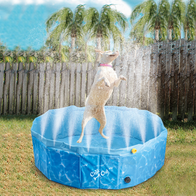 ObtenerImagen (2) Pileta Rociadora