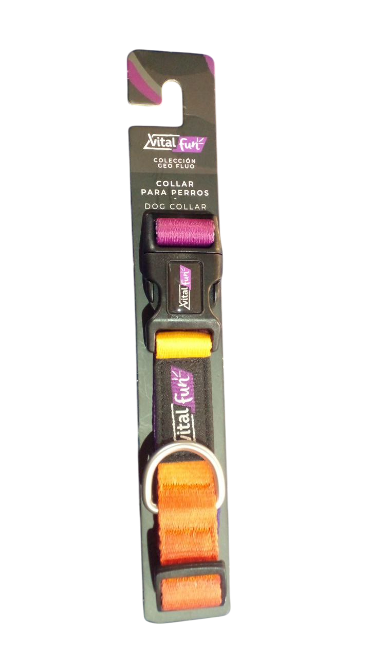 photo_4909159641401461524_y-Photoroom Collar Geo Fluo