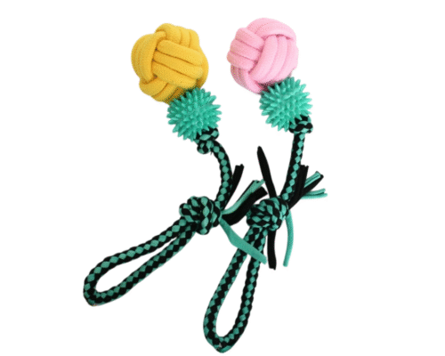 Soga Larga con Mordillo