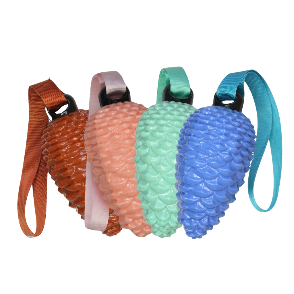 17-1-Photoroom Juguete de Piña