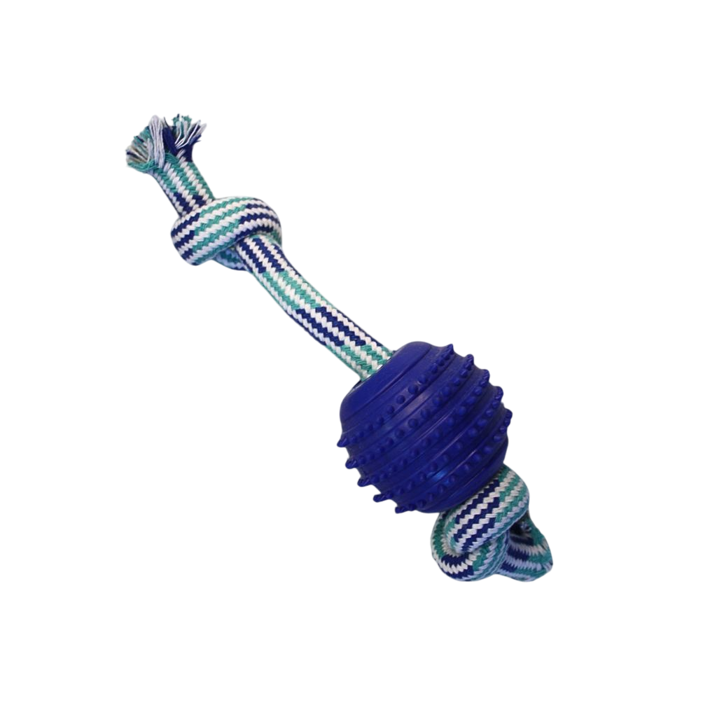 22-Photoroom Pelota Púas con Soga