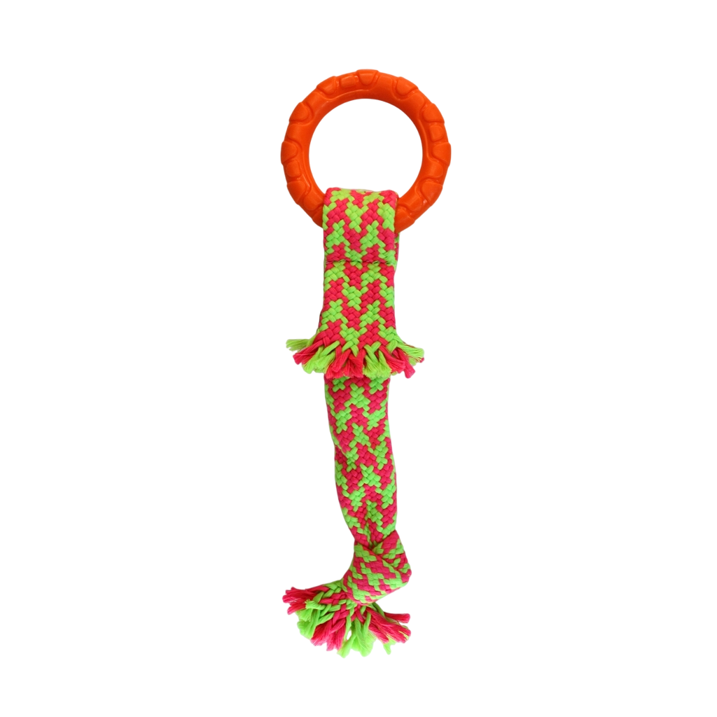 24-3-Photoroom Mordillo con Soga Bicolor