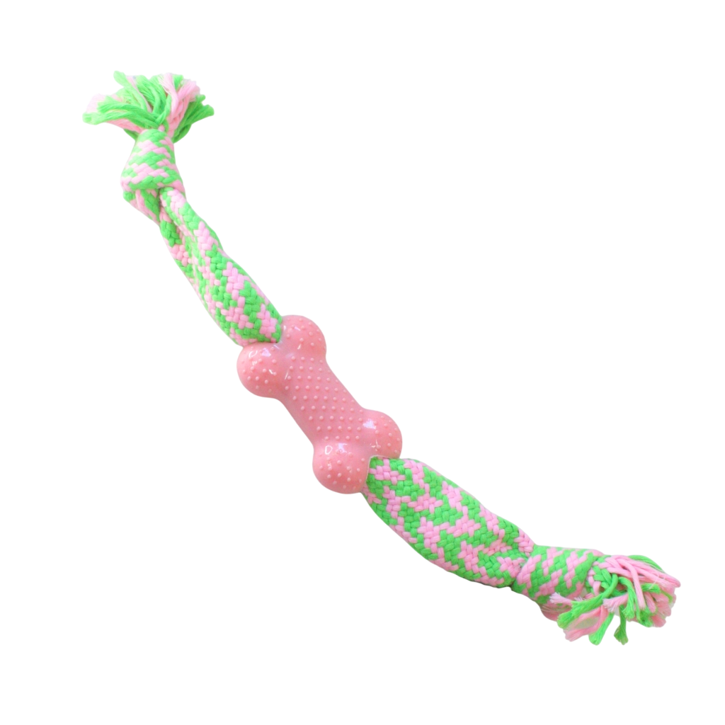 5-6-Photoroom Soga Bicolor con Hueso