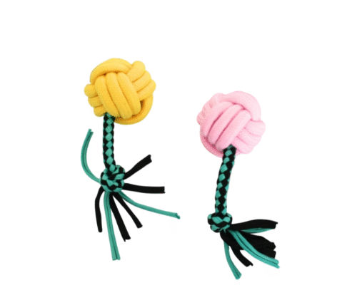 Soga Trenzada con Pelota