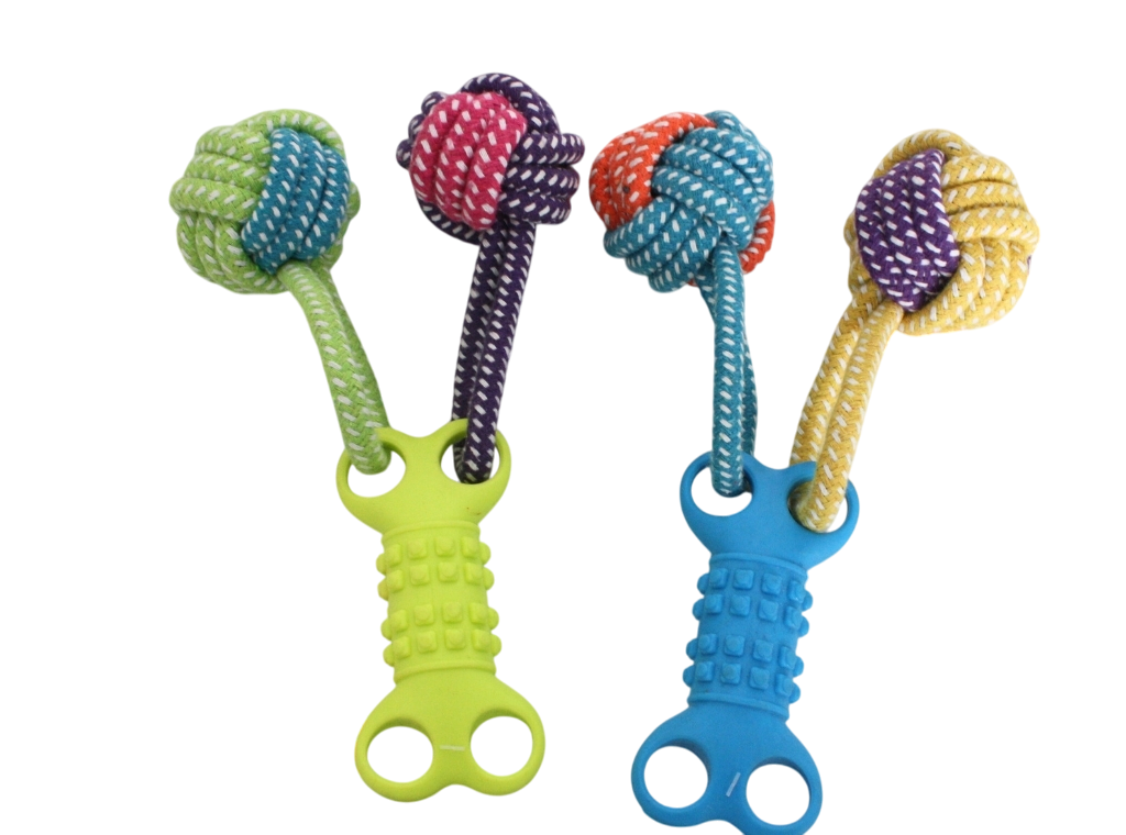 71-Photoroom Hueso con Dos Pelotas