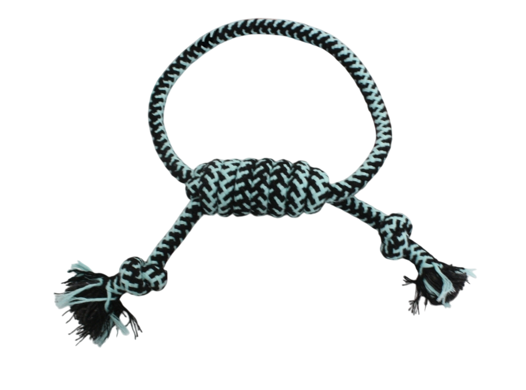 81-2-Photoroom Soga Nudo