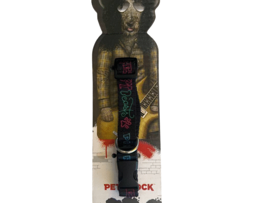 Collar Pet Rock