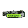 Collar Police Dog