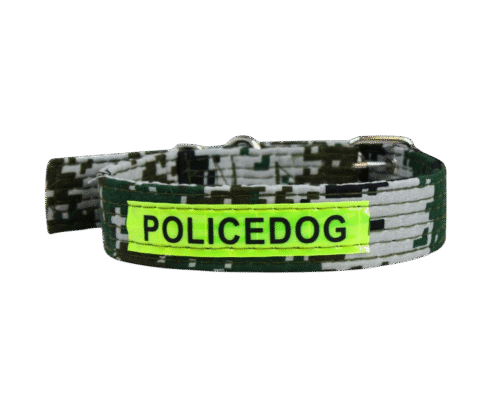 Collar Police Dog