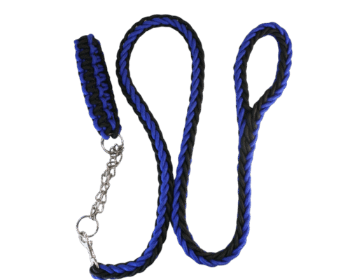 Collar y Correa Trenzados