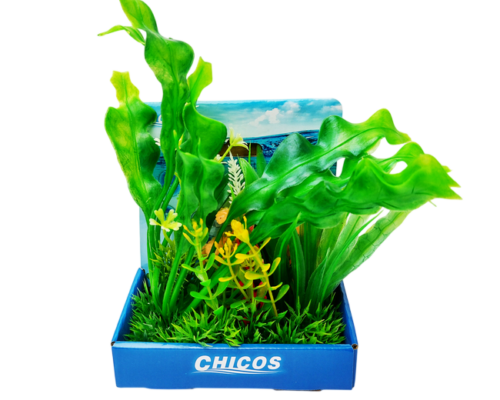 Plantas Surtidas 15cm