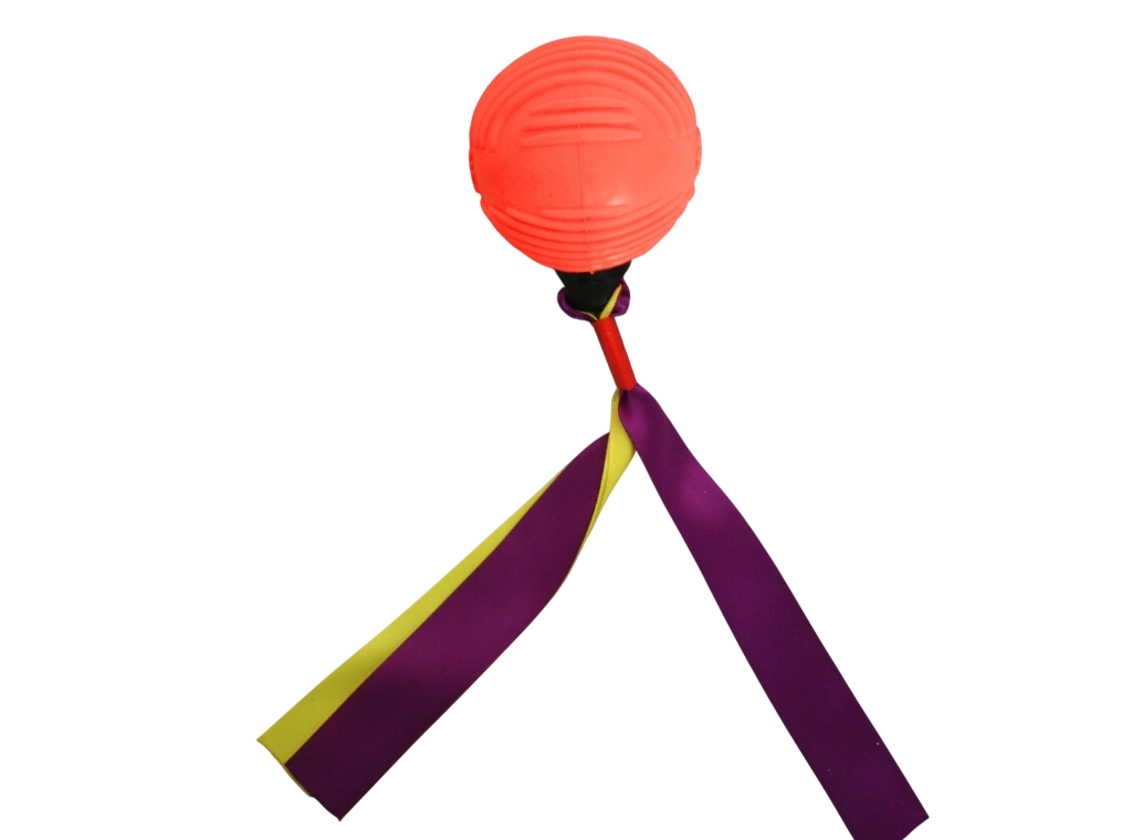 21-1-Photoroom Pelota con Tela