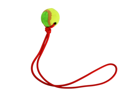Pelota con Soga Larga
