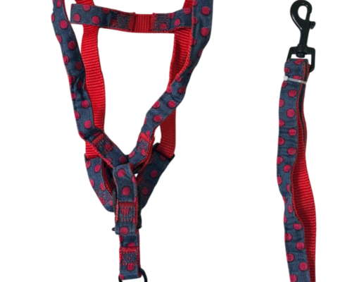 Pretal Jean con Puntos