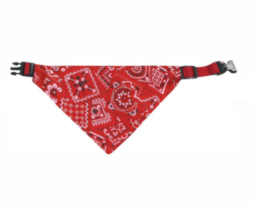 Collar con Bandana Roja